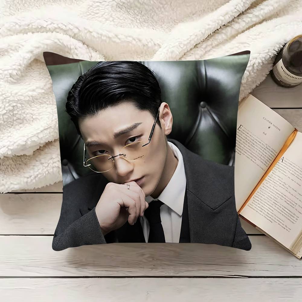 C-Choi S-San Fodera per cuscin - Home Textiles Inc recensione e prezzo