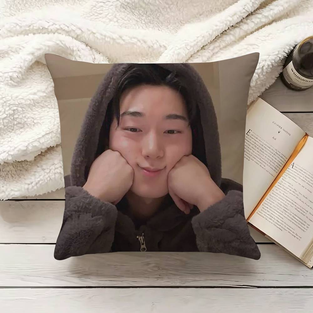 C-Choi S-San Fodera per cuscin - Home Textiles Inc recensione e prezzo